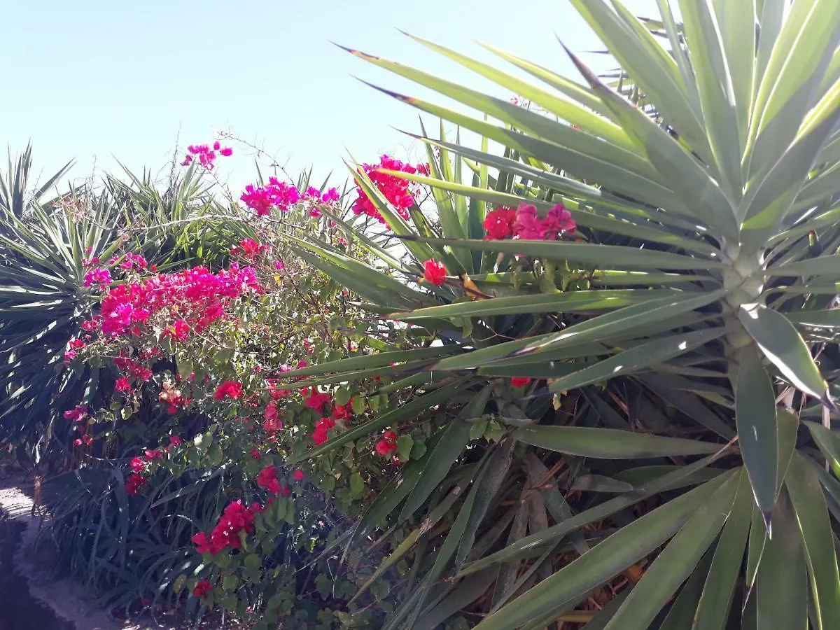 Casa Lar - Chalet Con Piscina Villa Lajares Spanien